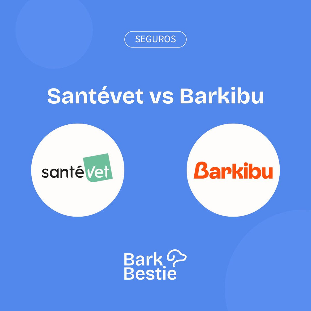 Santévet vs Barkibu | Comparación seguros para perros | Bark Bestie