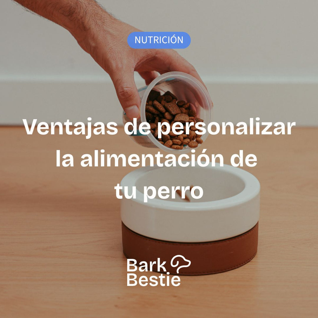 Ventajas de personalizar la alimentación de tu perro | Bark Bestie