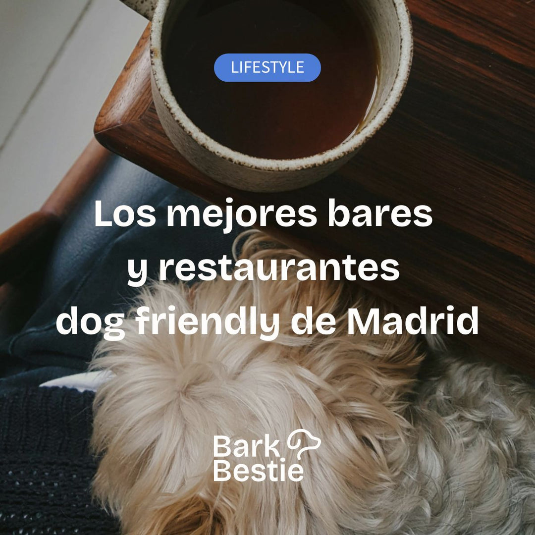 Los mejores bares y restaurantes dog friendly de Madrid | Bark Bestie