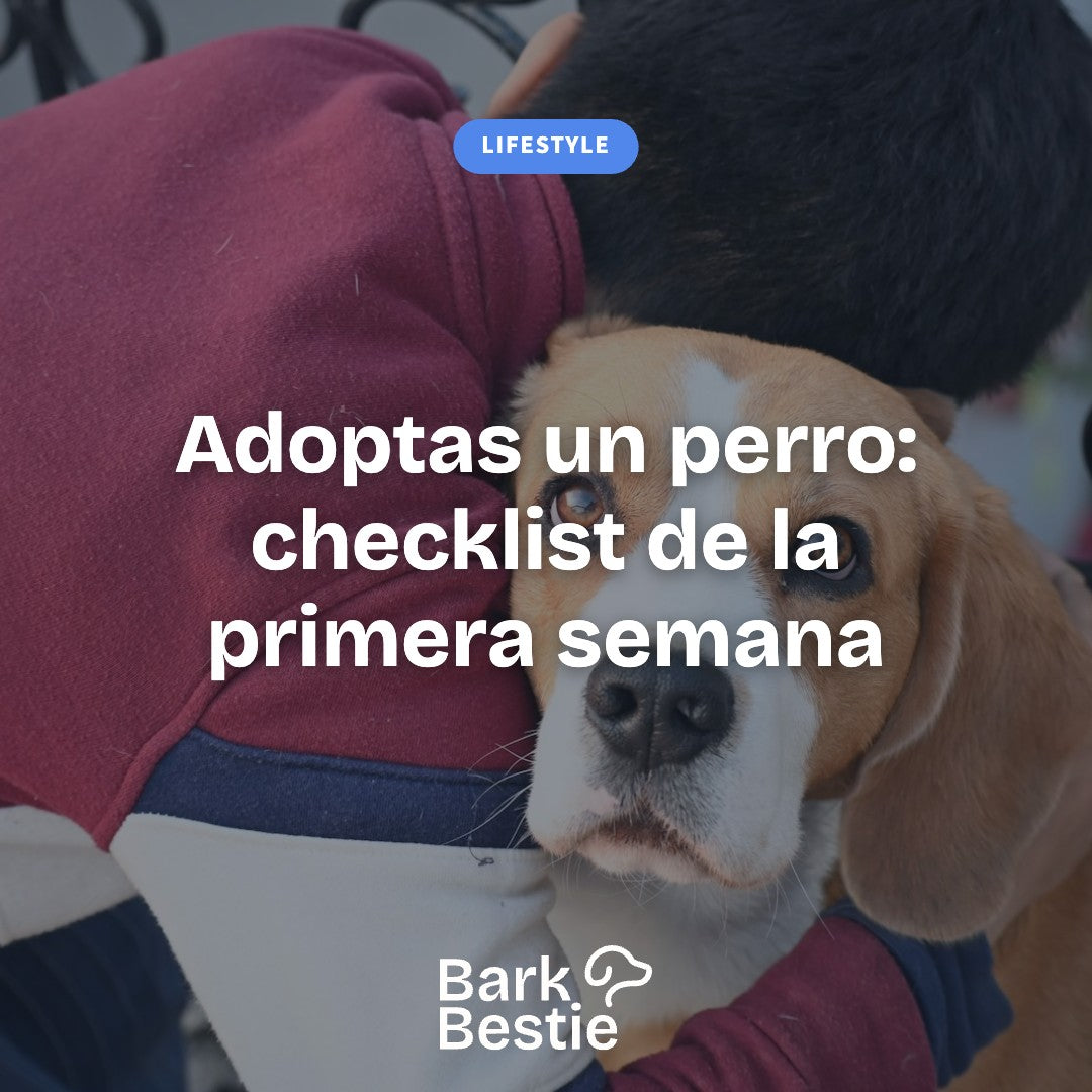 Adoptas un perro: checklist de la primera semana