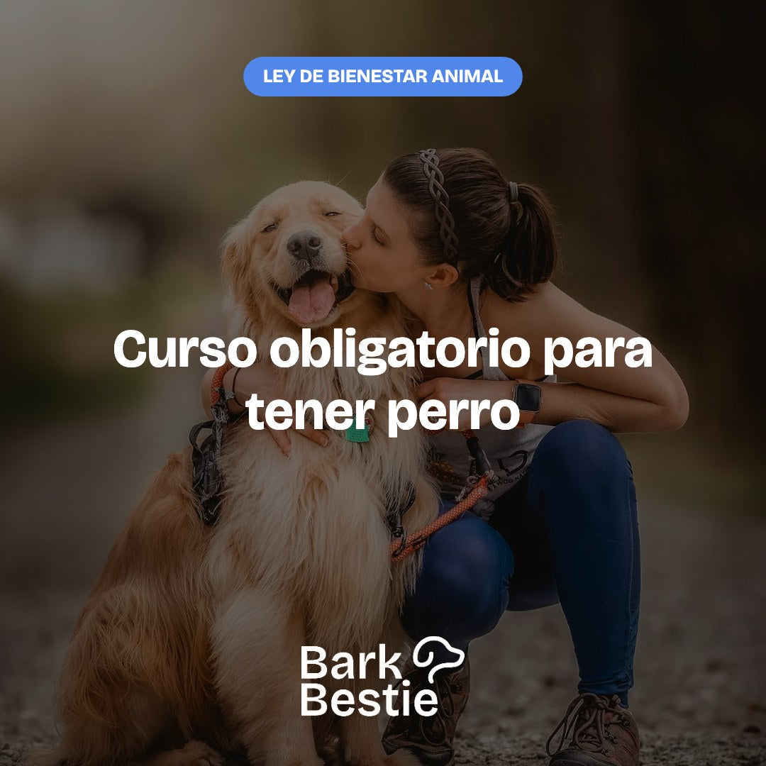 Curso obligatorio para tener perro