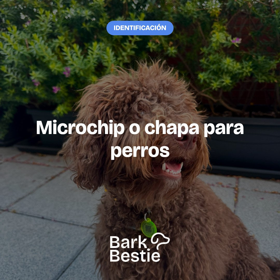 Microchip o chapa para perros