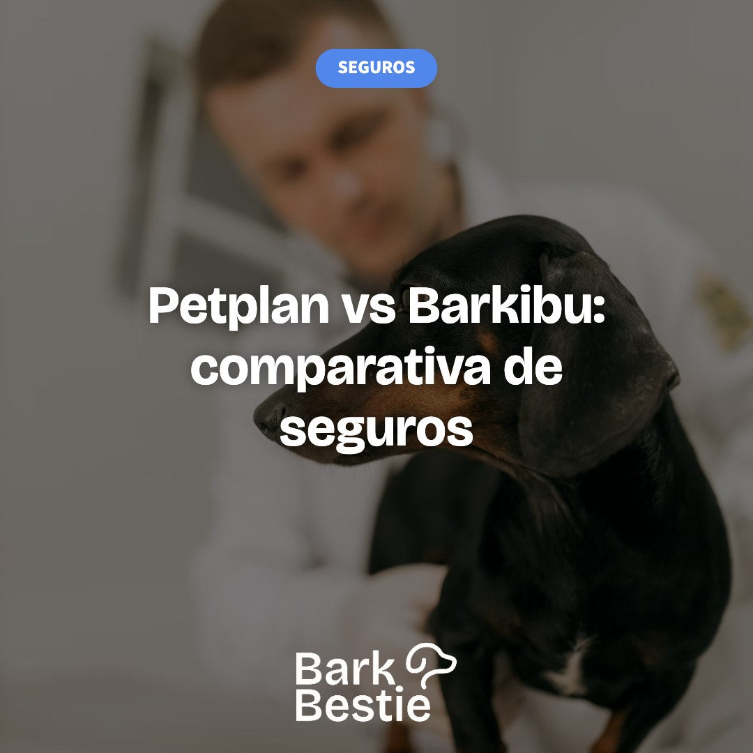 Petplan vs Barkibu: comparativa de seguros