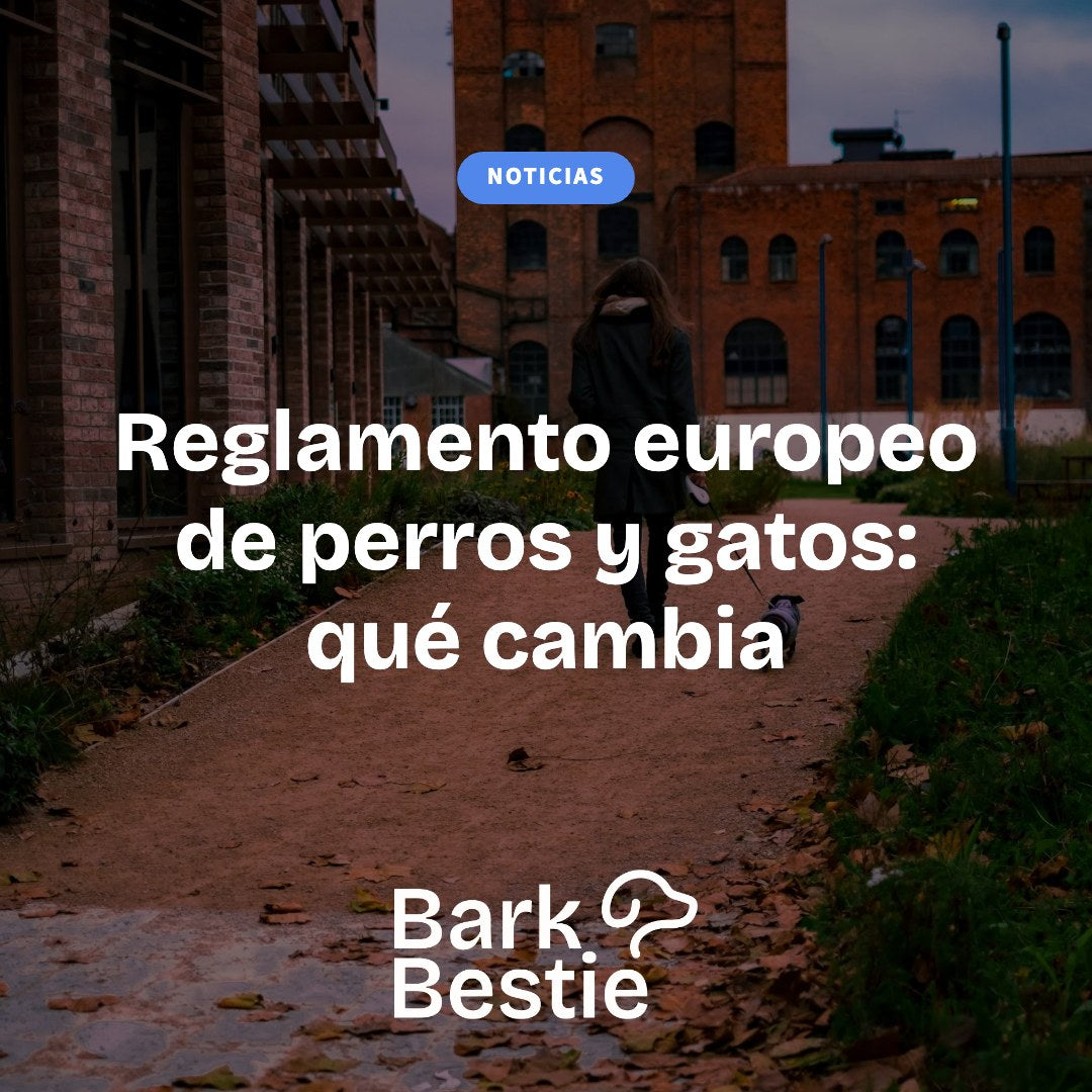 Reglamento europeo de perros y gatos: qué cambia