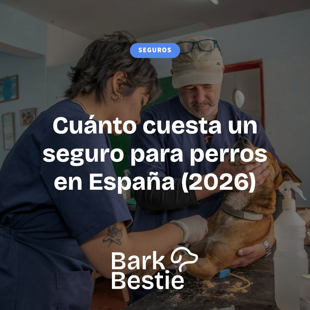 Cuánto cuesta un seguro para perros en España