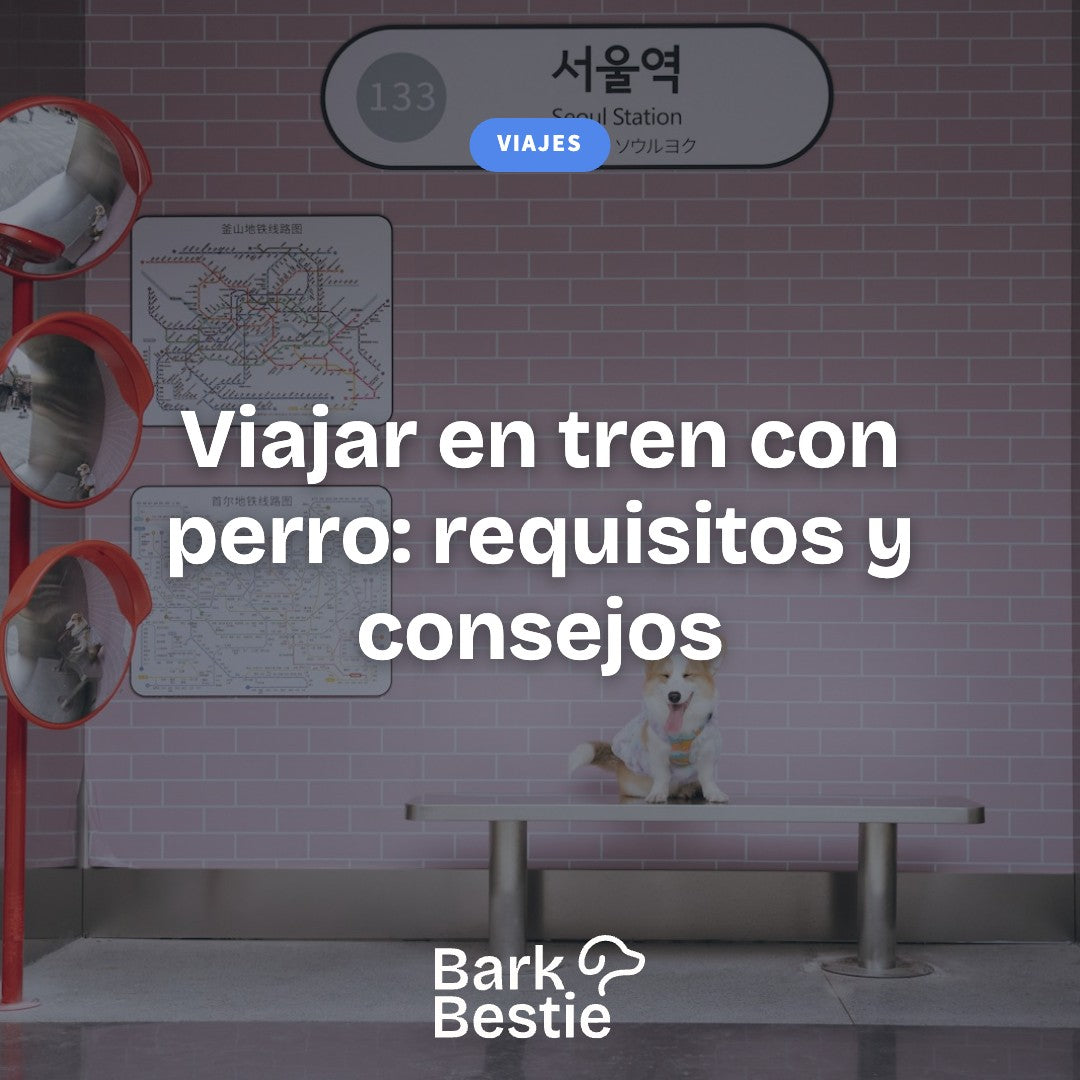 Viajar en tren con perro: requisitos y consejos