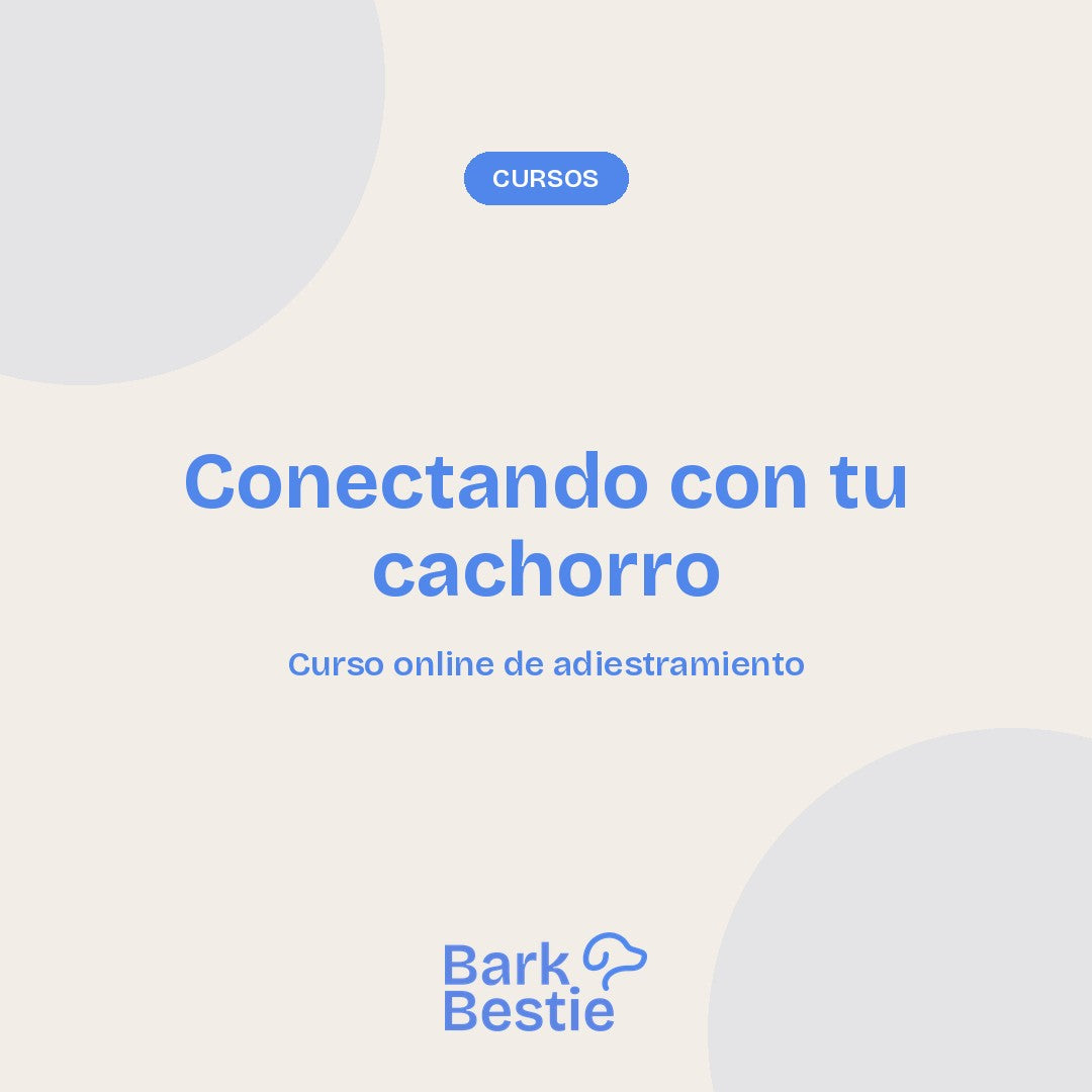 Portada del curso Conectando con tu Cachorro