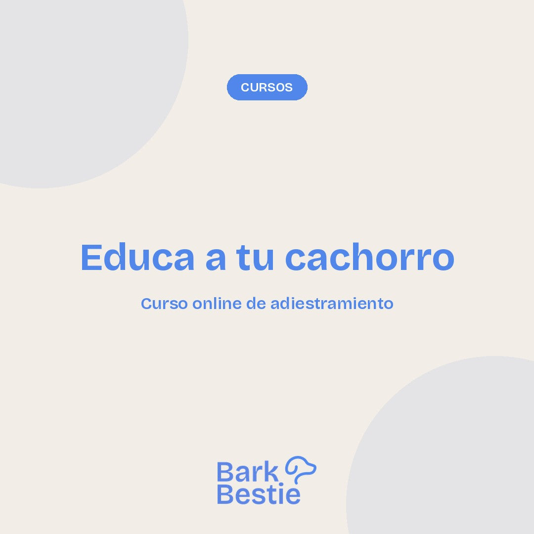 Portada del curso Educa a tu cachorro