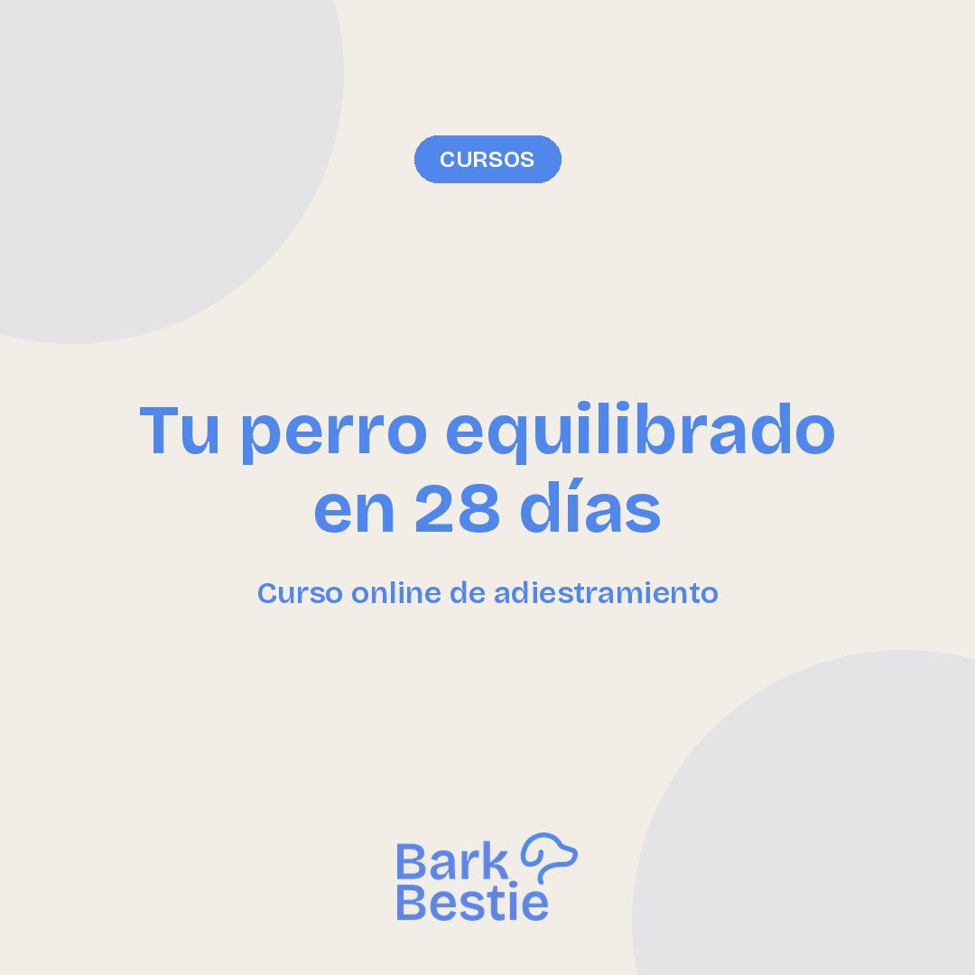 Portada del curso Tu Perro Equilibrado en 28 Días