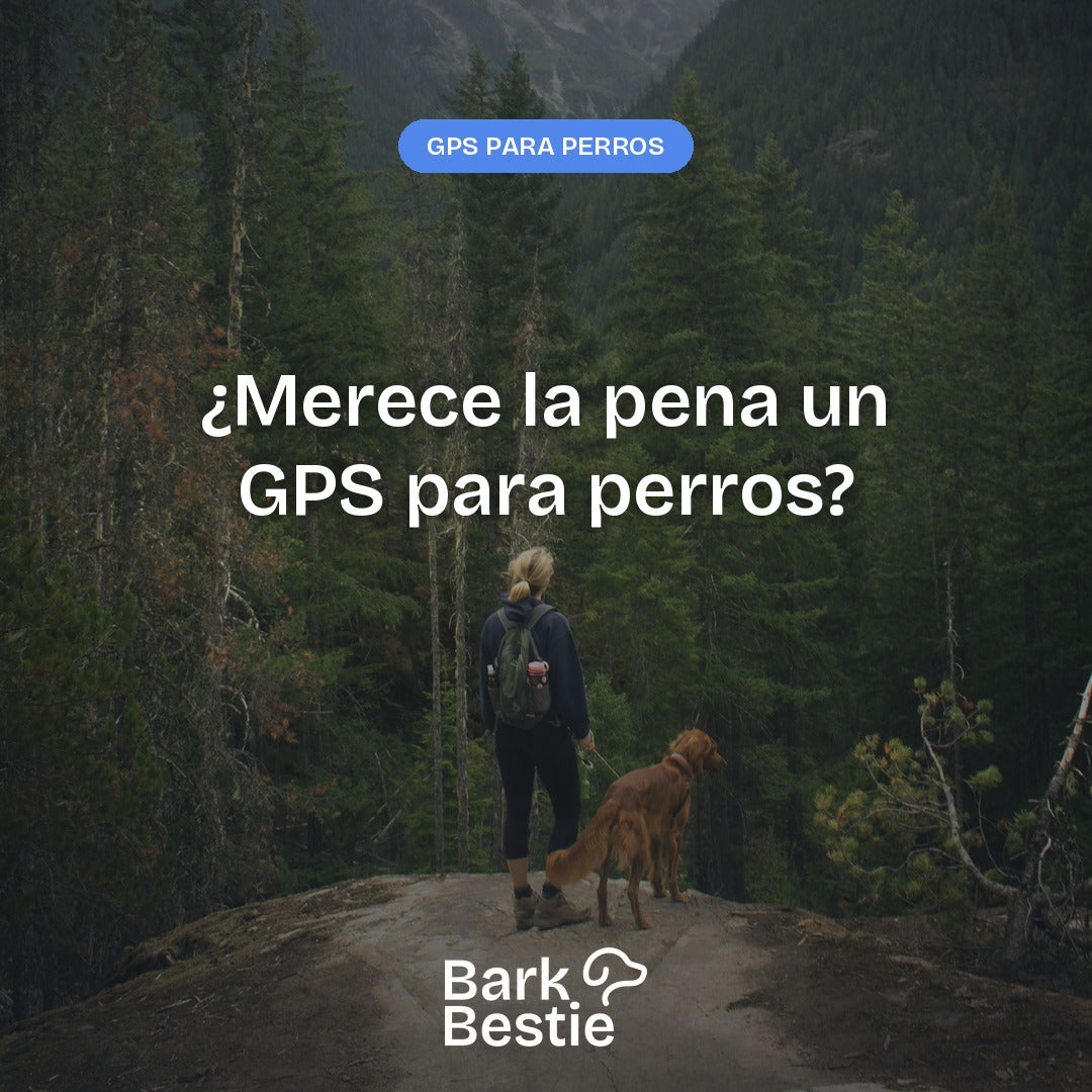 Mujer con su perro en un mirador sobre un bosque, con el título ¿Merece la pena un GPS para perros? y el logo de Bark Bestie