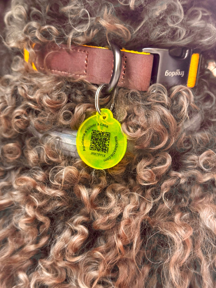 Chapa QR Bark Bestie