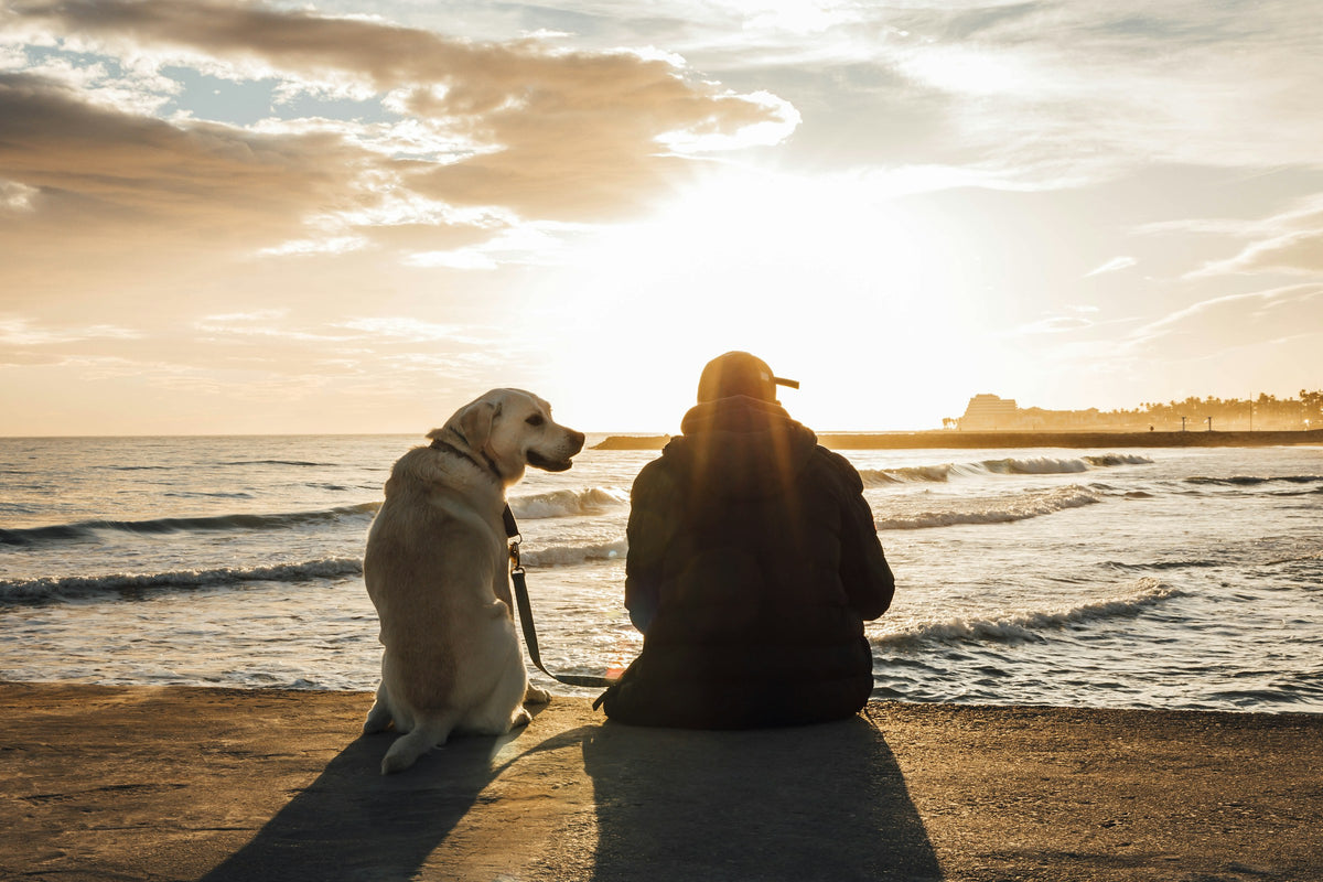 Mujer y perro sentados en la playa mirando el atardecer