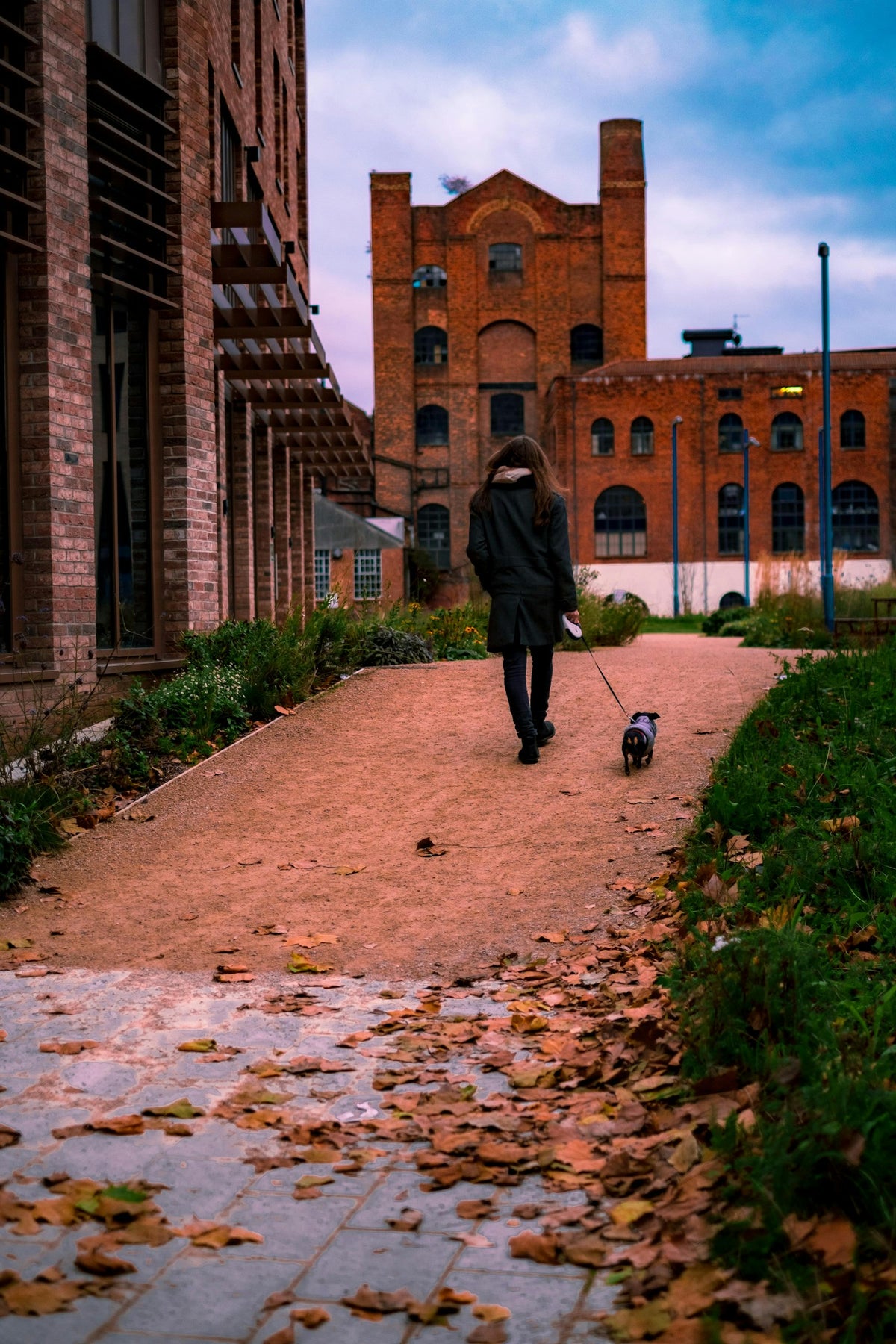 Persona paseando a un perro con correa
