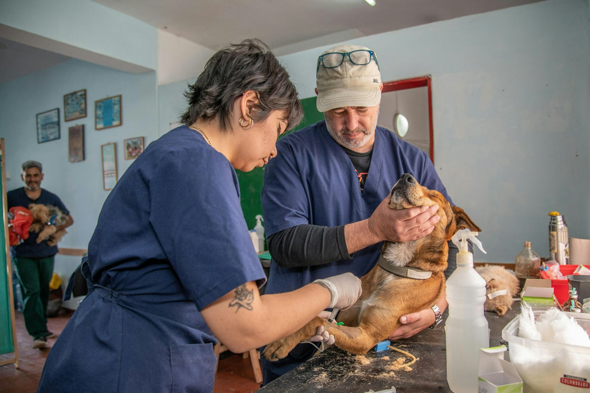 Pareja con su perro en brazos